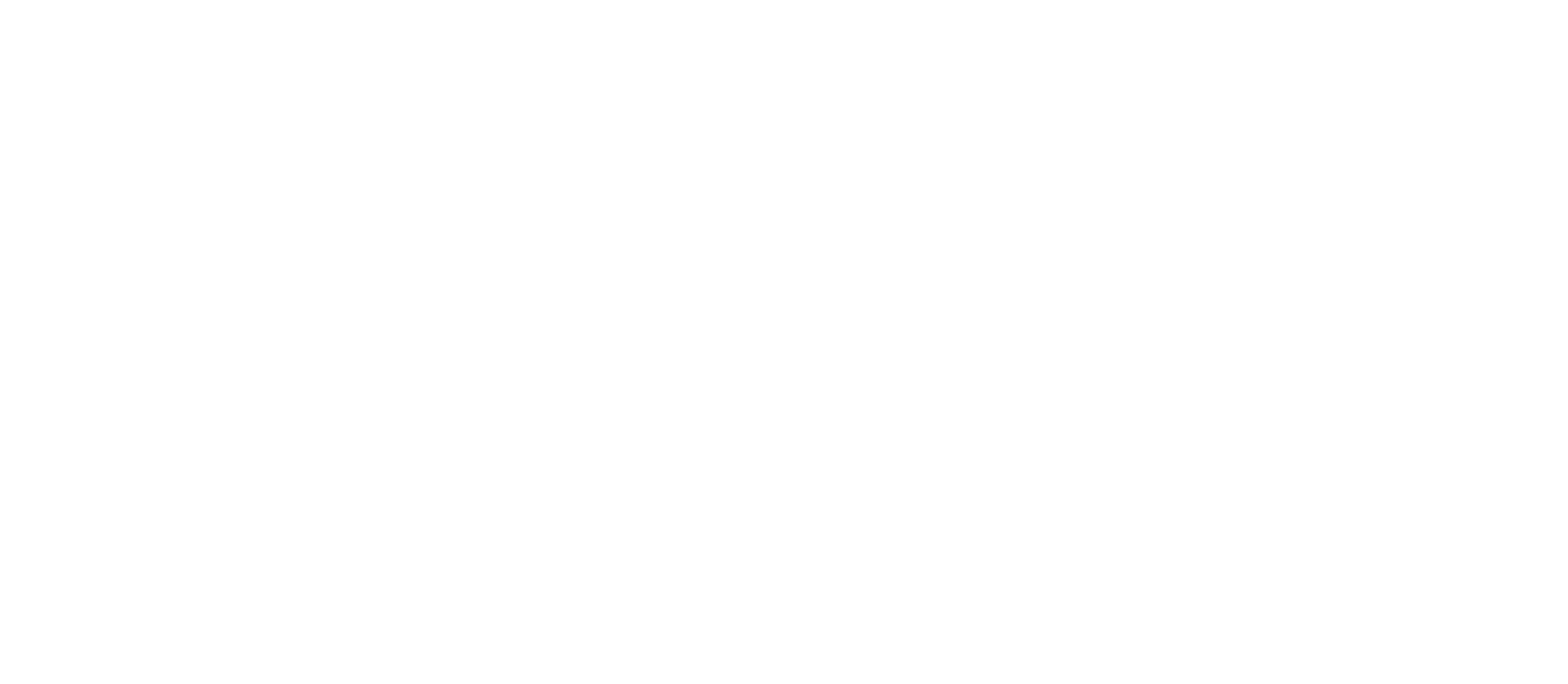 solar White logo